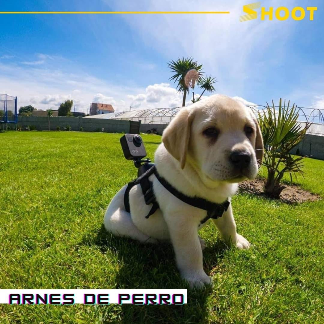 Arnes de perro para Gopro